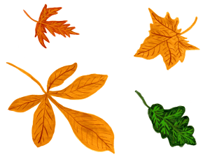 Hand-drawn leaves